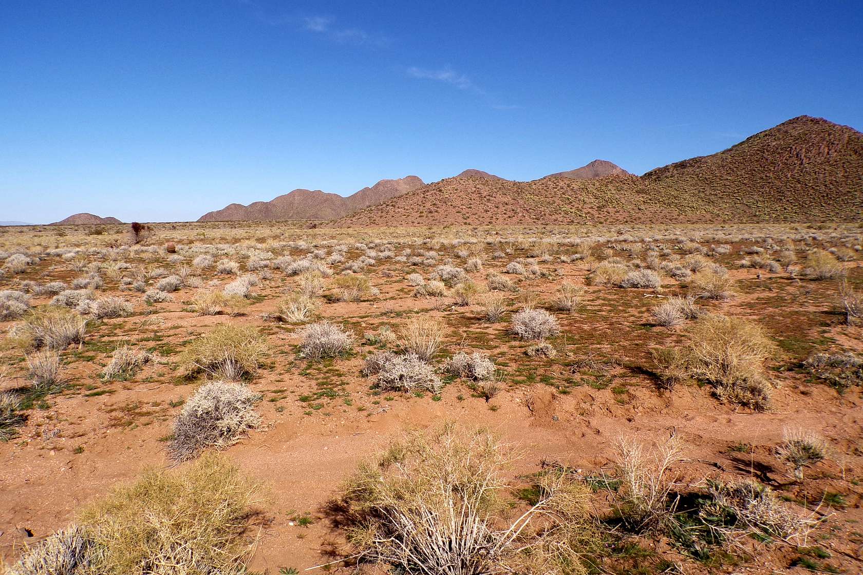 1 Acre of Residential Land for Sale in Meadview, Arizona