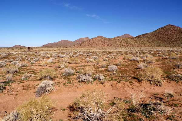 1 Acre of Residential Land for Sale in Meadview, Arizona