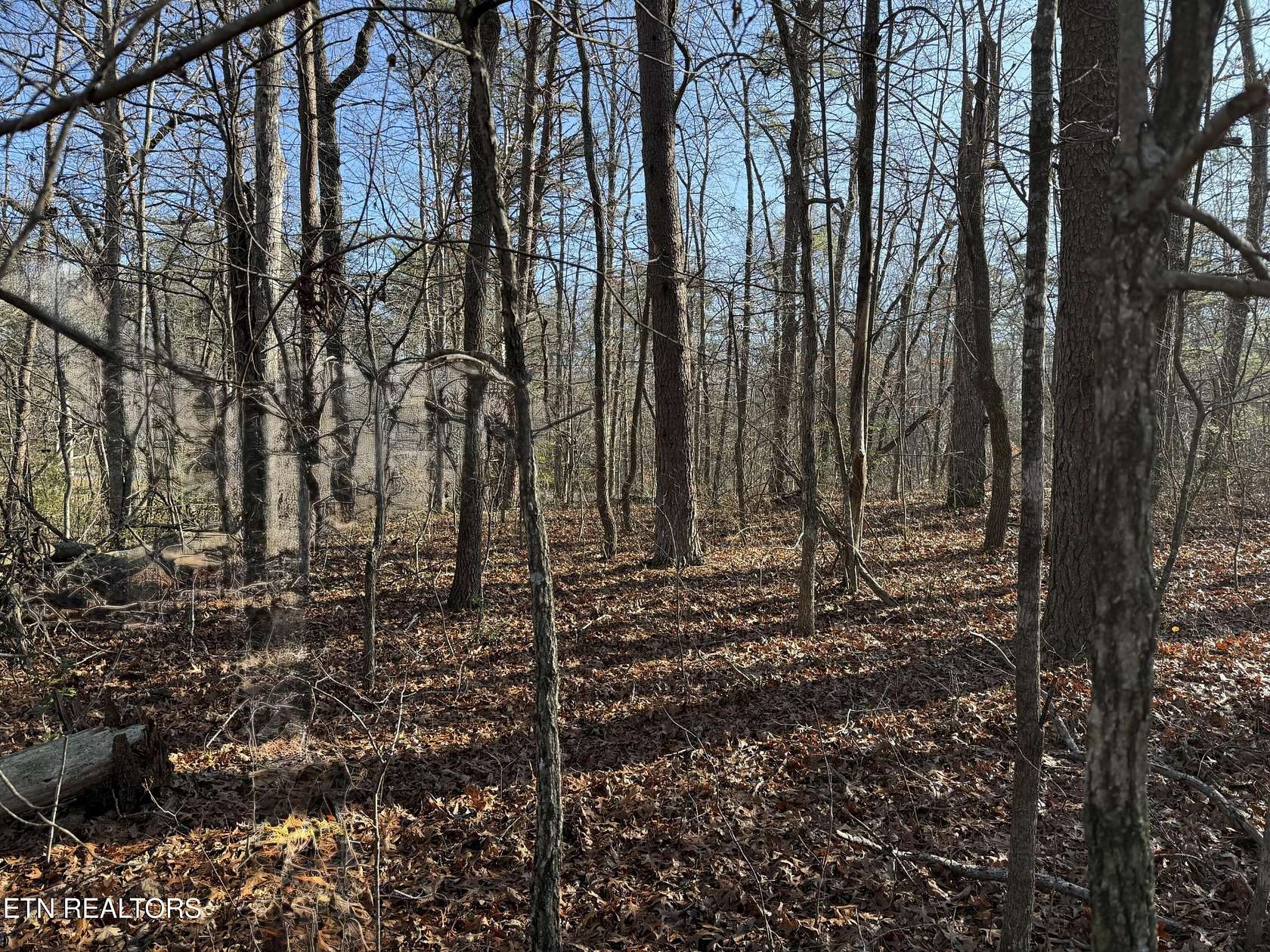 1.2 Acres of Residential Land for Sale in Monterey, Tennessee