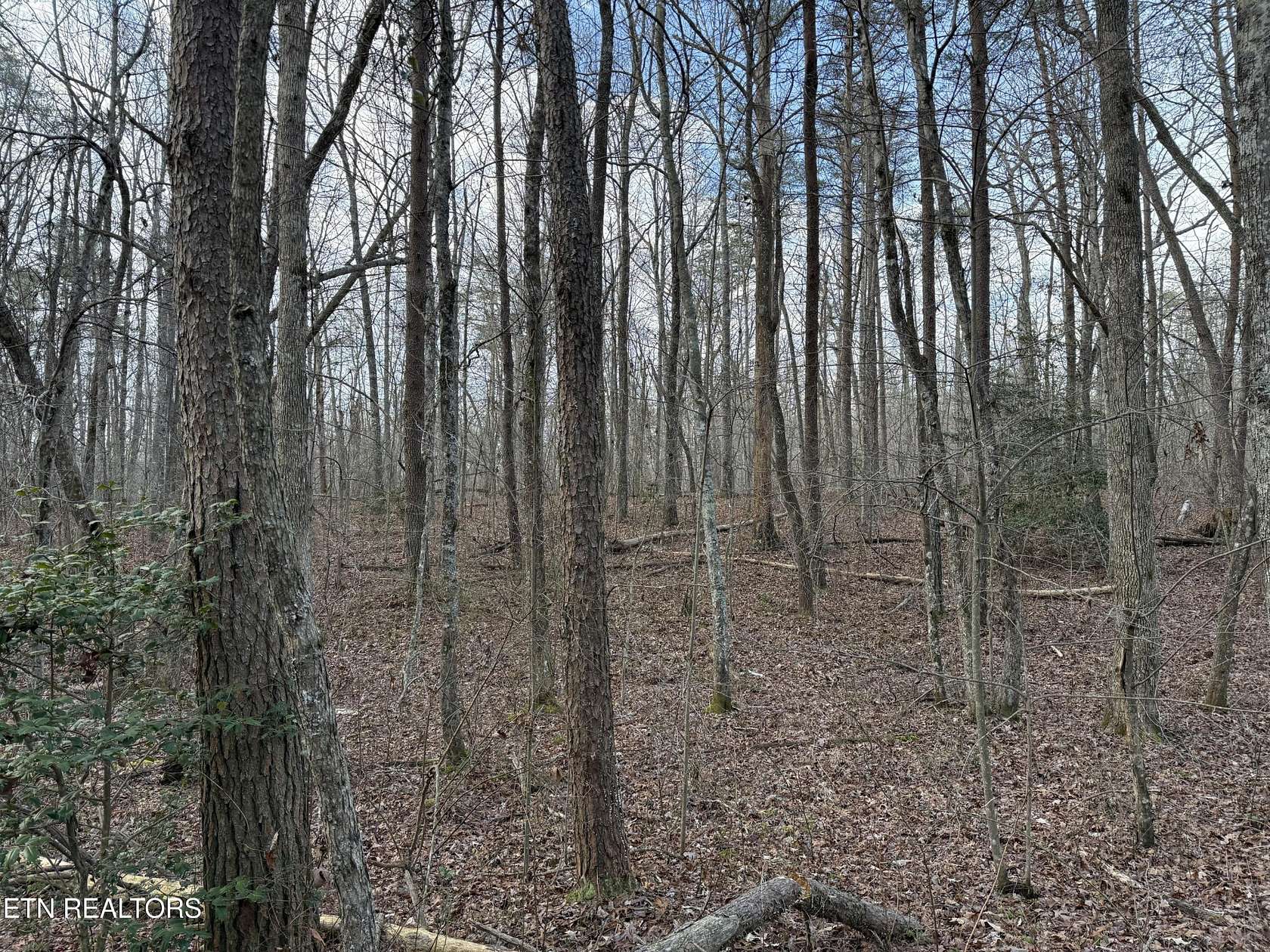 1.2 Acres of Residential Land for Sale in Monterey, Tennessee