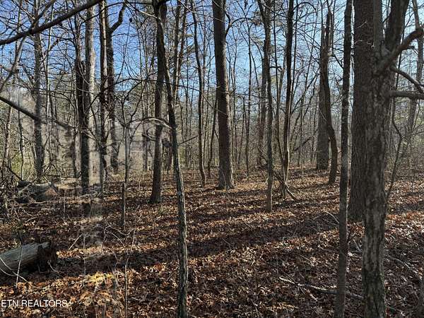 1.2 Acres of Residential Land for Sale in Monterey, Tennessee