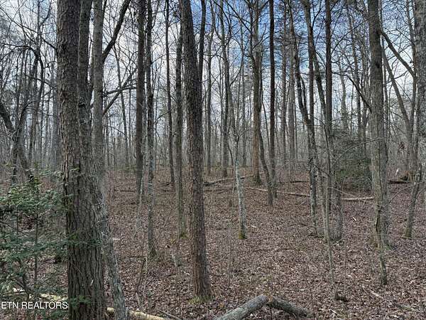 1.2 Acres of Residential Land for Sale in Monterey, Tennessee