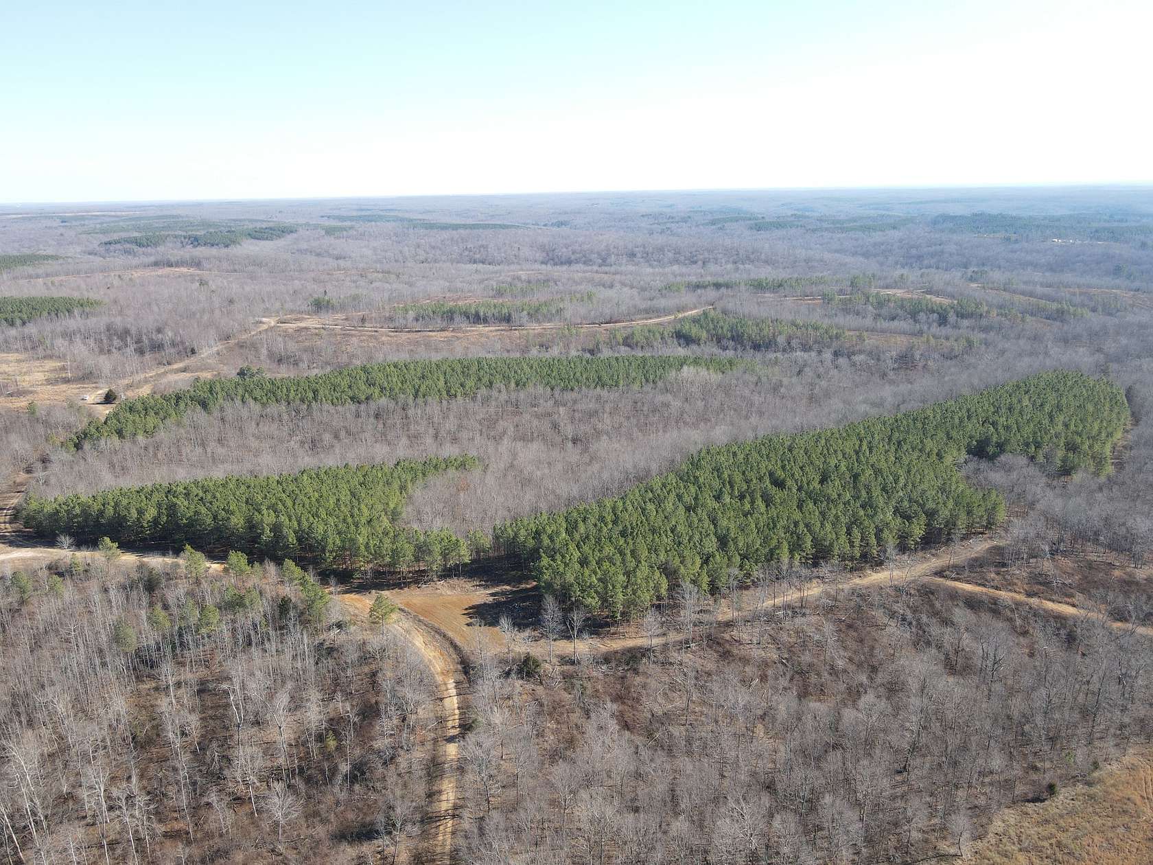 90 Acres of Recreational Land for Sale in Stewart, Tennessee