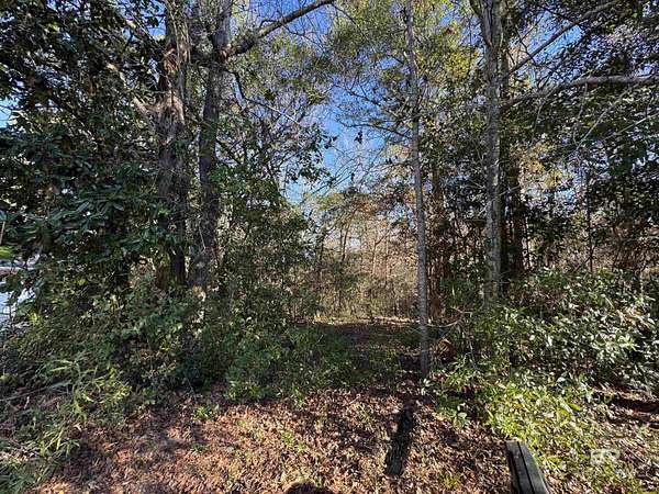 0.52 Acres of Residential Land for Sale in Spanish Fort, Alabama