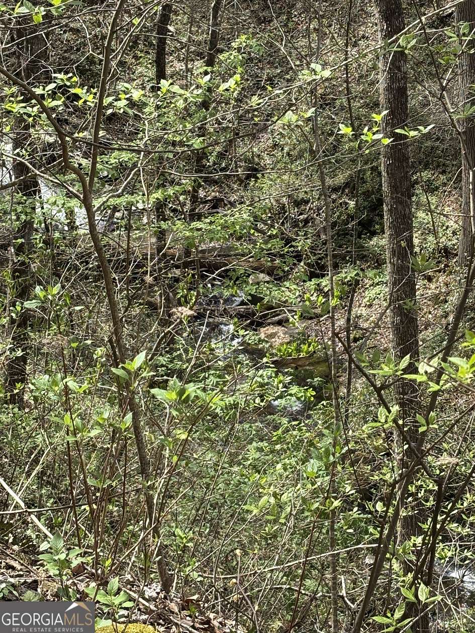3.32 Acres of Land for Sale in East Ellijay, Georgia