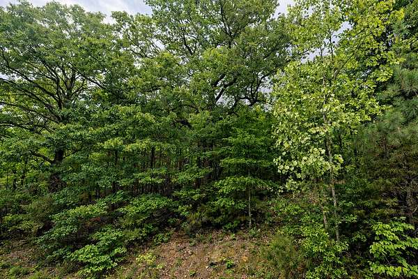 0.42 Acres of Residential Land for Sale in Horseshoe Bend, Arkansas