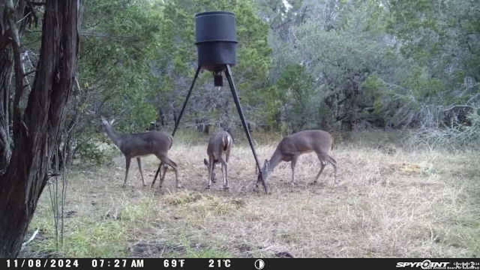 Improved Residential Land for Sale in Hondo, Texas