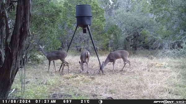 Improved Residential Land for Sale in Hondo, Texas