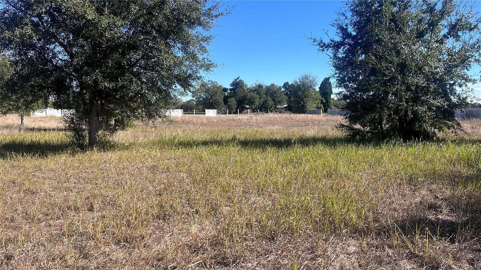 1.5 Acres of Residential Land for Sale in Dover, Florida