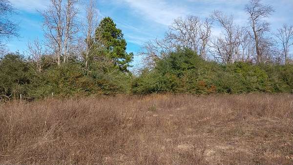 59.7 Acres of Land for Sale in Buffalo, Texas