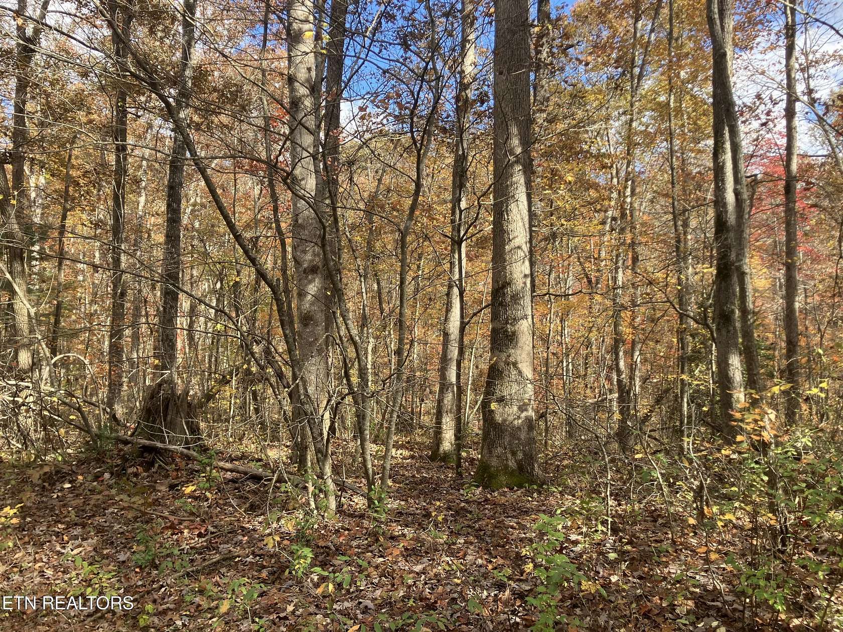 1 Acre of Land for Sale in Crossville, Tennessee