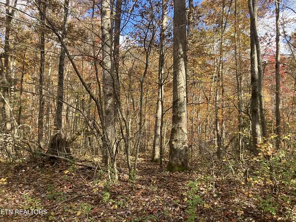 1 Acre of Land for Sale in Crossville, Tennessee