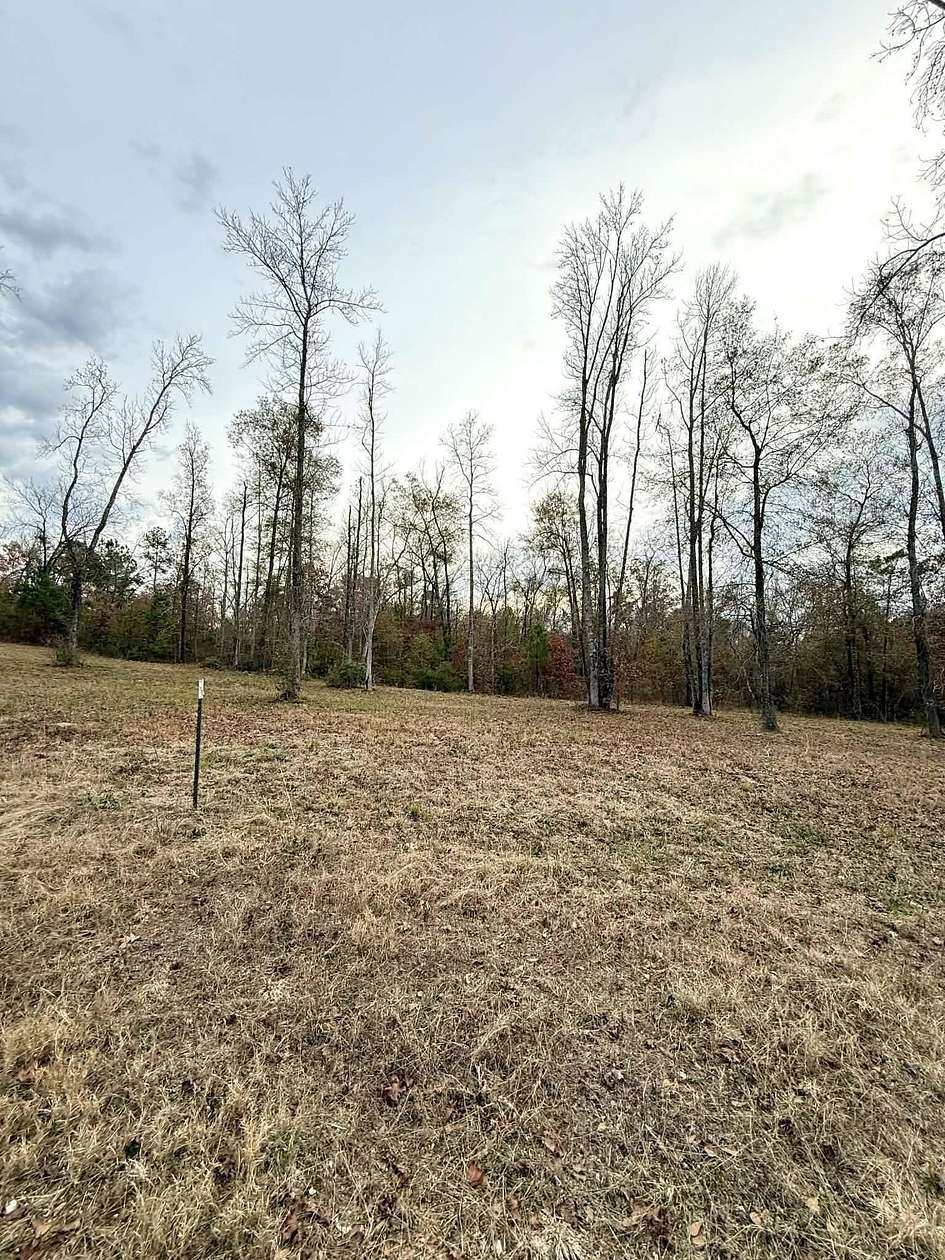 1 Acre of Residential Land for Sale in Hallsville, Texas