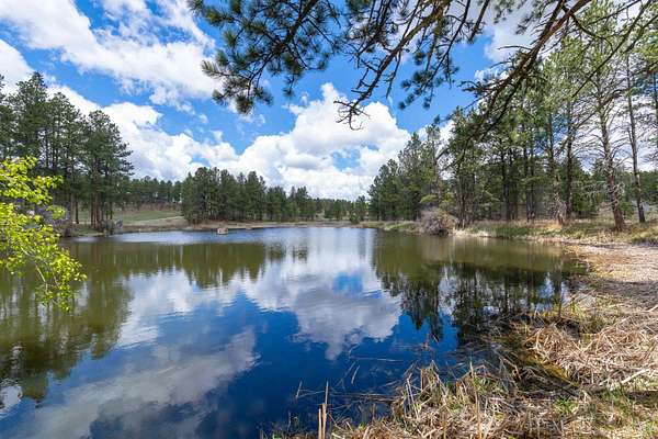 12.4 Acres of Recreational & Residential Land for Sale in Custer, South Dakota