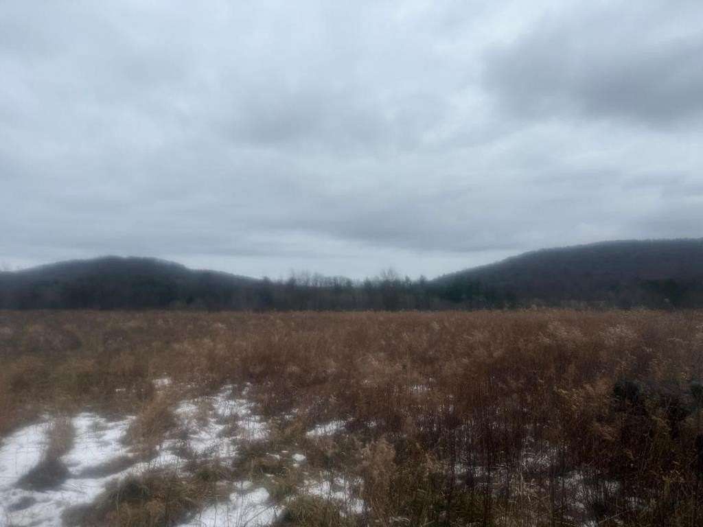 62 Acres of Land for Sale in Shinglehouse, Pennsylvania