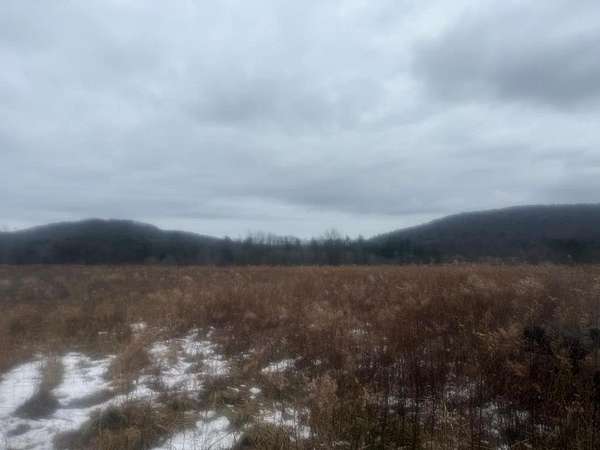 62 Acres of Land for Sale in Shinglehouse, Pennsylvania