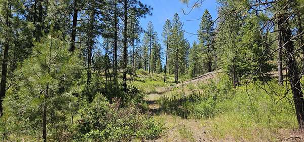 20 Acres of Recreational & Residential Land for Sale in Inchelium, Washington