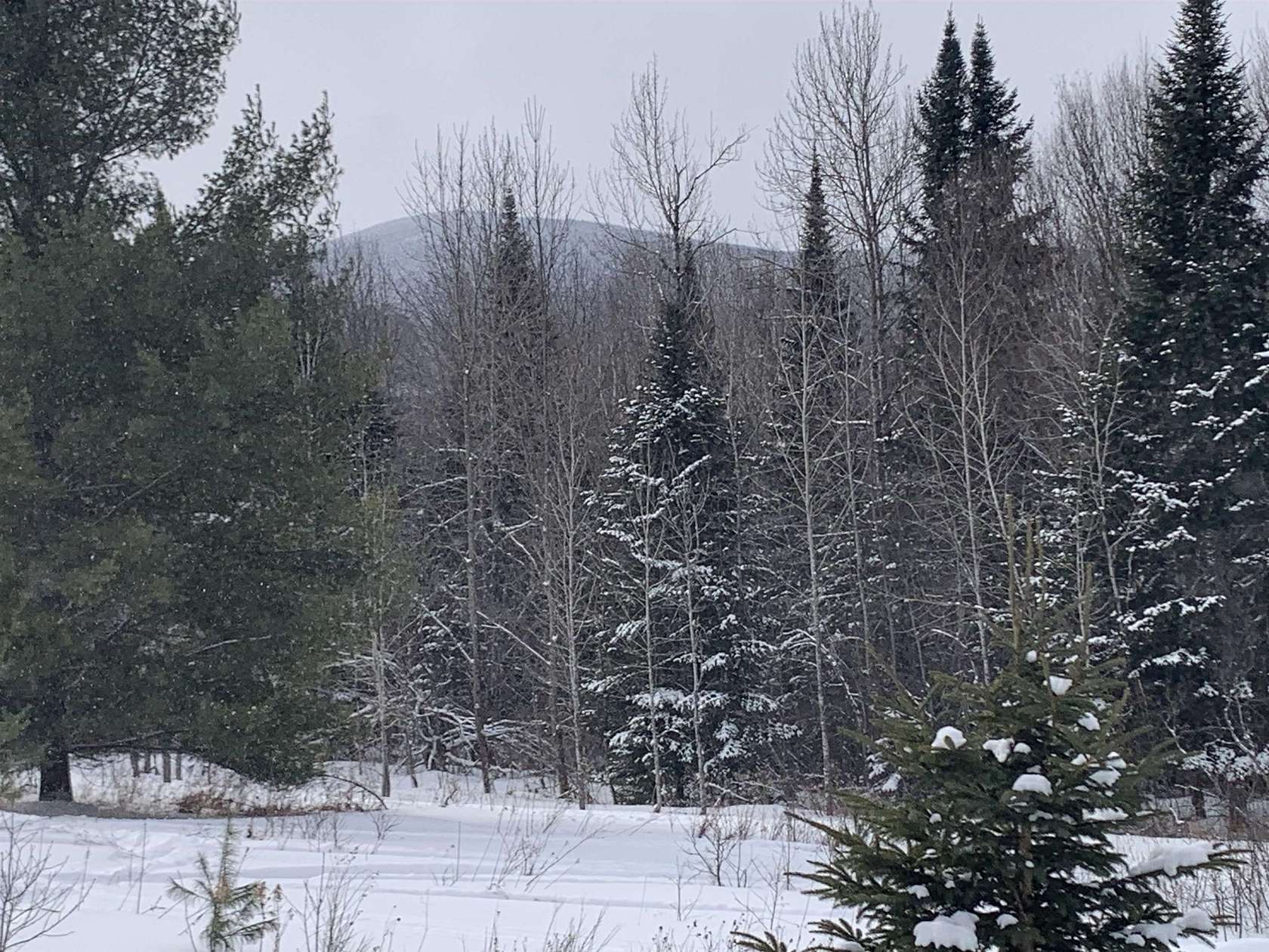 29.4 Acres of Recreational Land for Sale in Columbia, New Hampshire