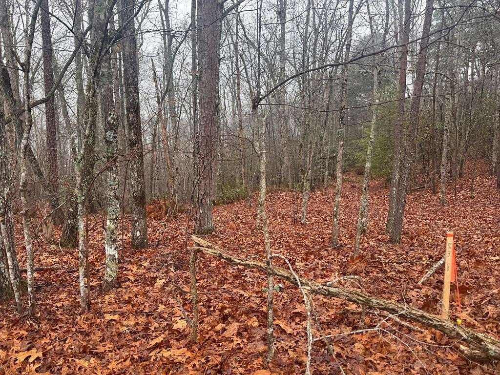 9.76 Acres of Land for Sale in Young Harris, Georgia