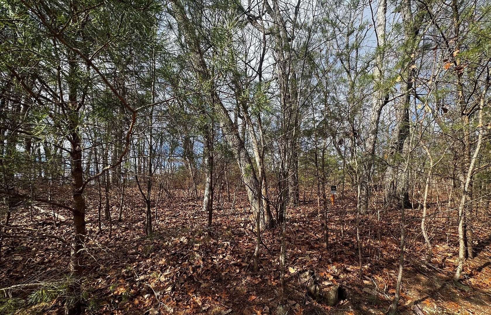 0.22 Acres of Residential Land for Auction in Rising Fawn, Georgia