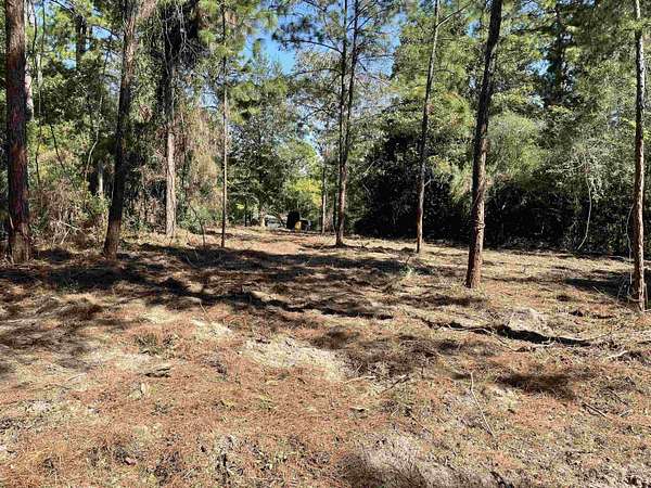 0.3 Acres of Residential Land for Sale in Brookeland, Texas