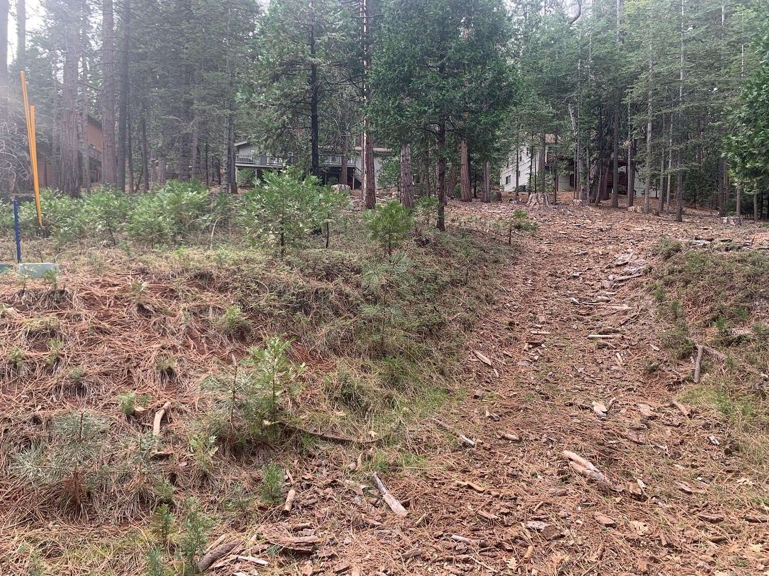 0.34 Acres of Residential Land for Sale in Arnold, California