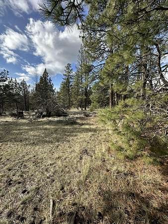 2.37 Acres of Residential Land for Sale in Bonanza, Oregon