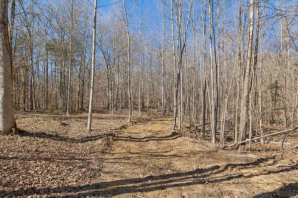 36.3 Acres of Recreational Land for Sale in Linden, Tennessee