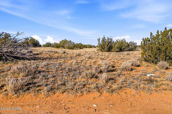 40 Acres of Recreational Land for Sale in Heber, Arizona
