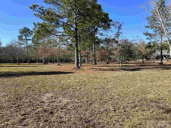 4.19 Acres of Residential Land for Sale in Pace, Florida