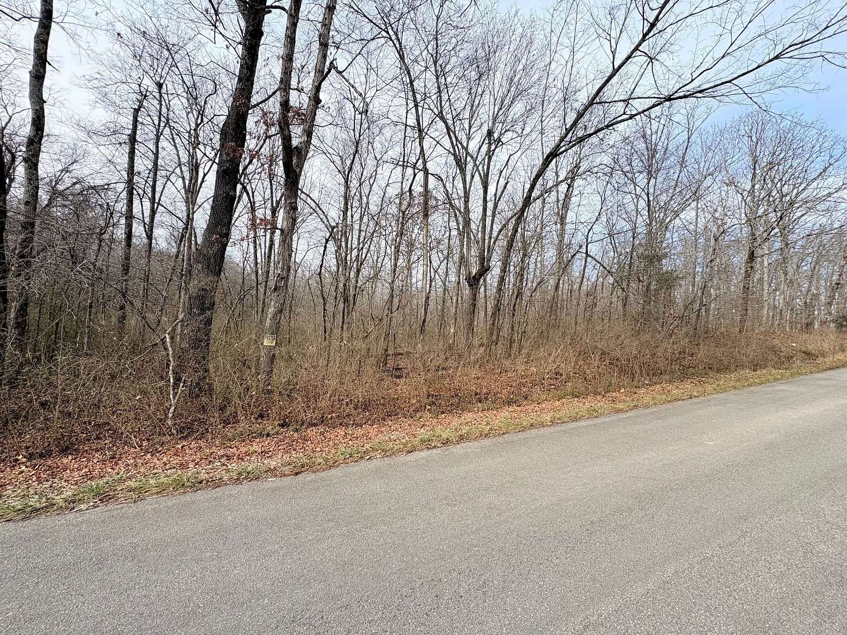 20 Acres of Recreational Land for Sale in Poplar Bluff, Missouri