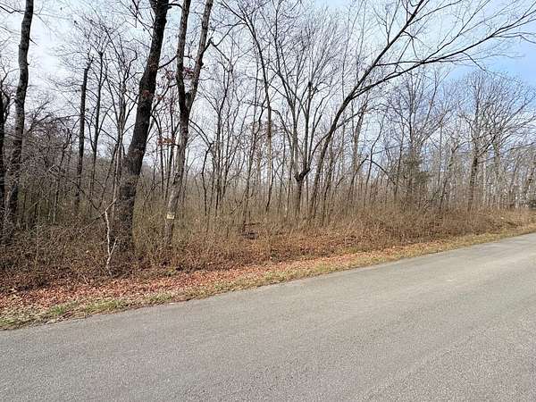 20 Acres of Recreational Land for Sale in Poplar Bluff, Missouri