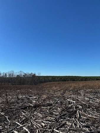 5 Acres of Recreational Land for Sale in Gruetli-Laager, Tennessee
