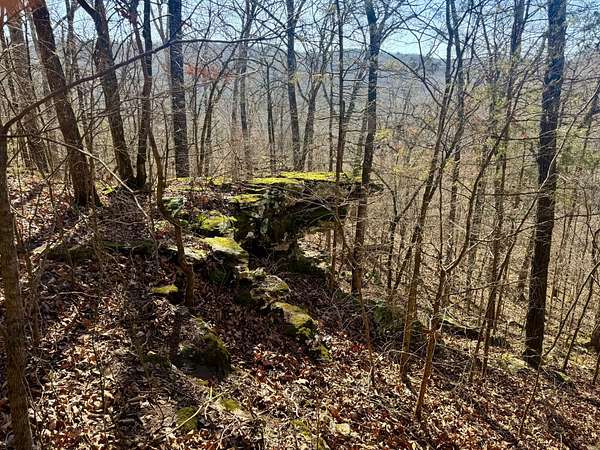 70 Acres of Recreational Land for Sale in Rudy, Arkansas