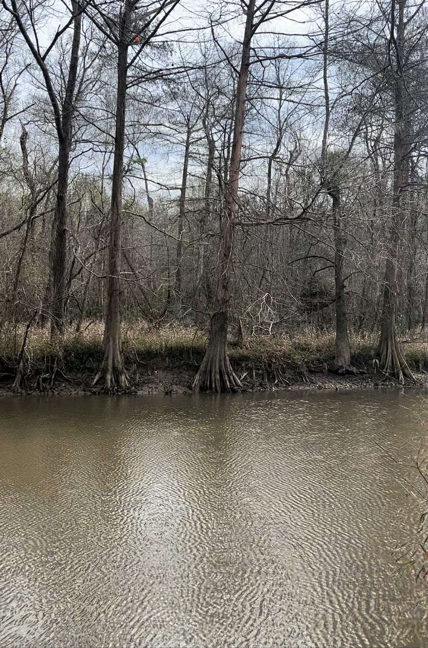 11.4 Acres of Recreational Land & Farm for Sale in Orange, Texas