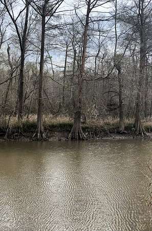 11.4 Acres of Recreational Land & Farm for Sale in Orange, Texas