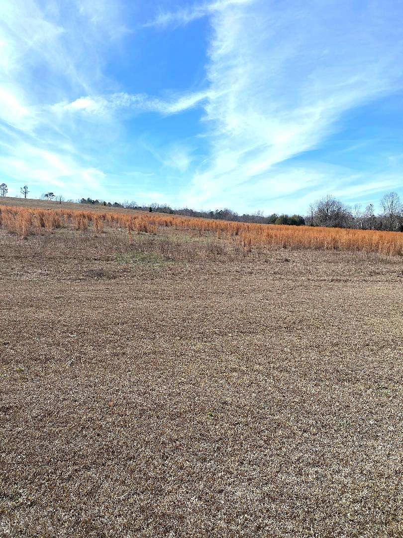 1.67 Acres of Residential Land for Sale in Bartow, Georgia