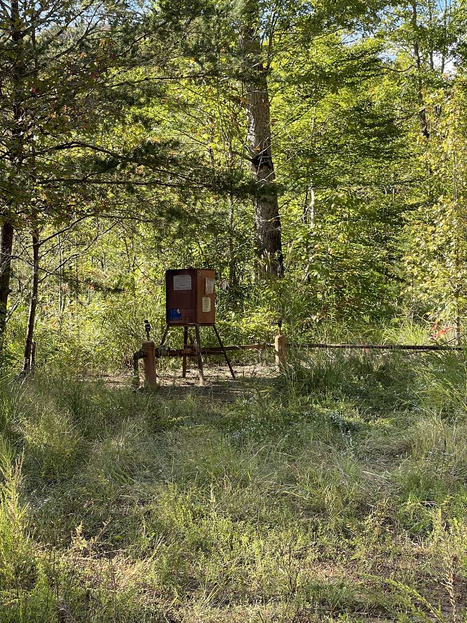 90.7 Acres of Land for Sale in Gray, Kentucky