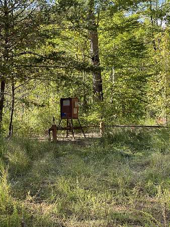 90.7 Acres of Land for Sale in Gray, Kentucky