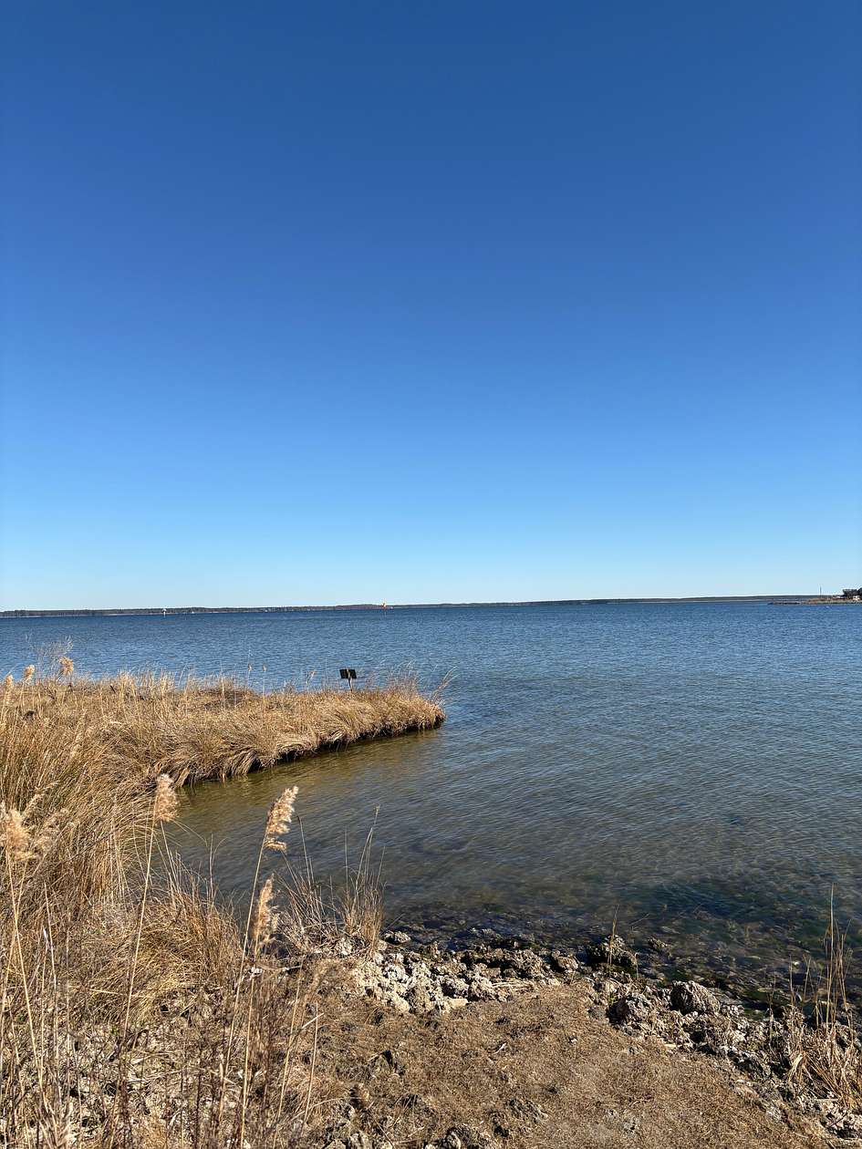 4.23 Acres of Land for Sale in Belhaven, North Carolina