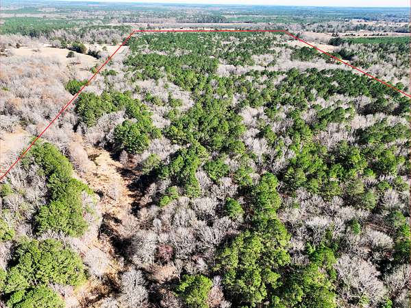 49 Acres of Land for Sale in Jefferson, Texas
