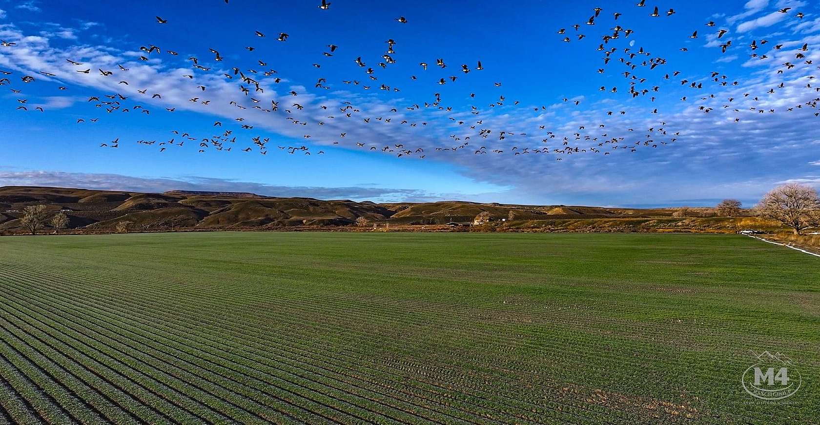 320 Acres of Recreational Land & Farm for Sale in Mack, Colorado