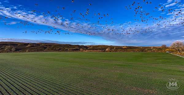 320 Acres of Recreational Land & Farm for Sale in Mack, Colorado