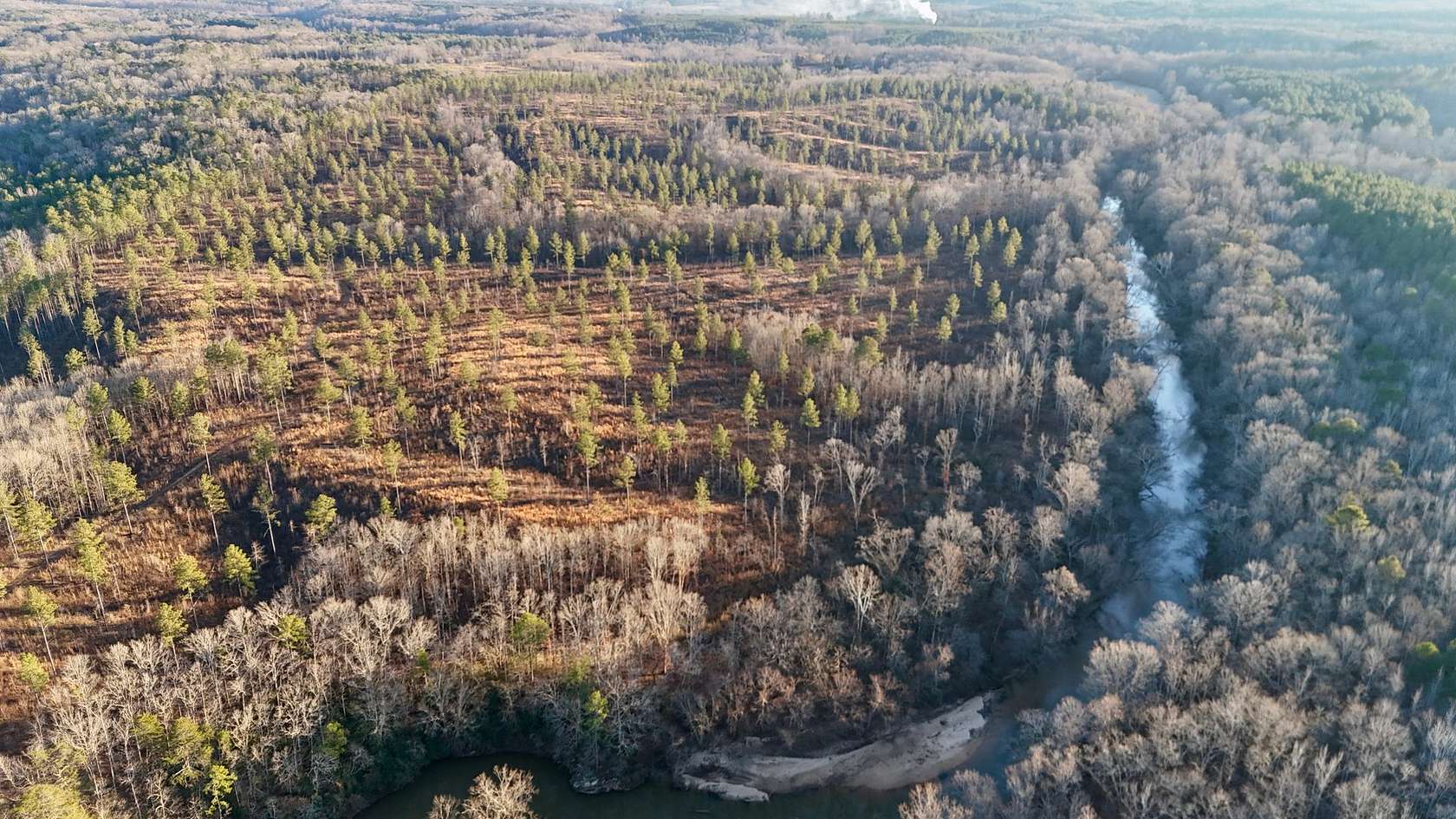 247 Acres of Recreational Land for Sale in Muscadine, Alabama