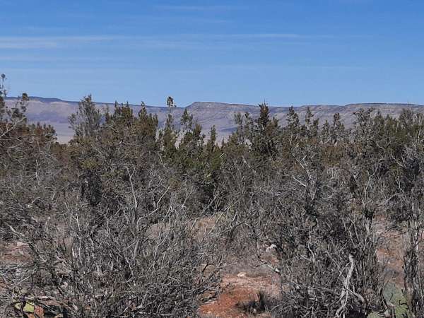 3.74 Acres of Agricultural Land for Sale in Seligman, Arizona
