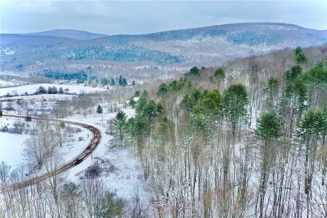 14.6 Acres of Land for Sale in Margaretville, New York