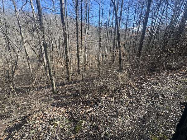 0.19 Acres of Residential Land for Sale in Smithville, Tennessee
