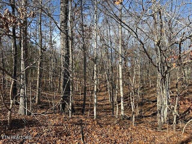 0.27 Acres of Residential Land for Sale in Crossville, Tennessee