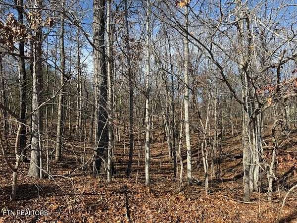 0.27 Acres of Residential Land for Sale in Crossville, Tennessee
