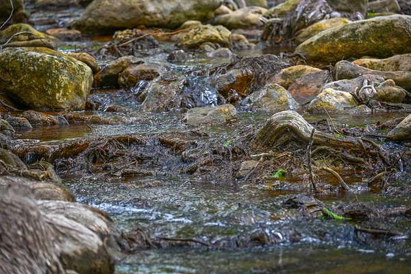 202 Acres of Improved Land for Sale in Boerne, Texas